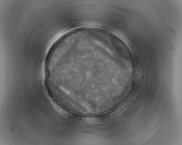 X0000113111128200909181622