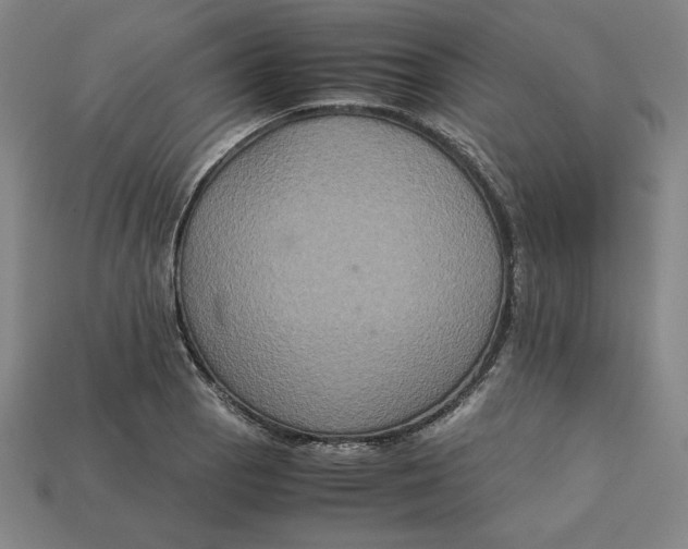 X0000113111129200909181622