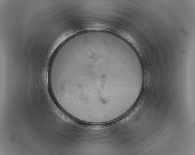 X0000113111130200909181622