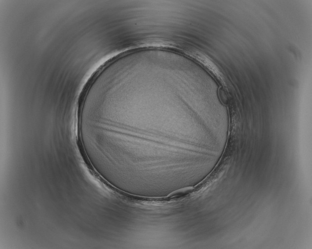 X0000113111132200909181622