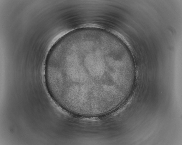 X0000113111133200909181622