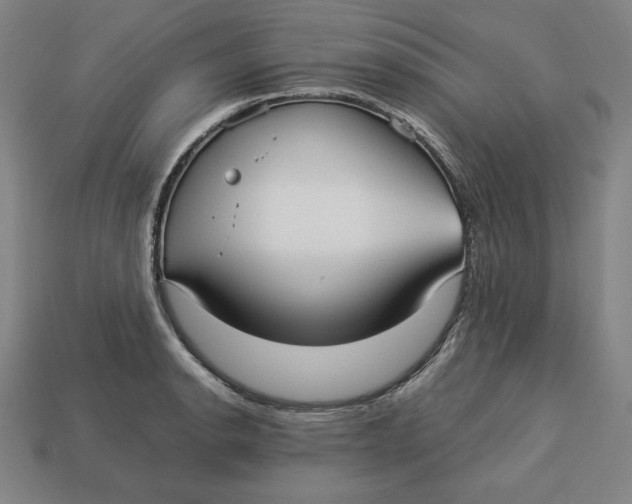X0000113111134200909181622