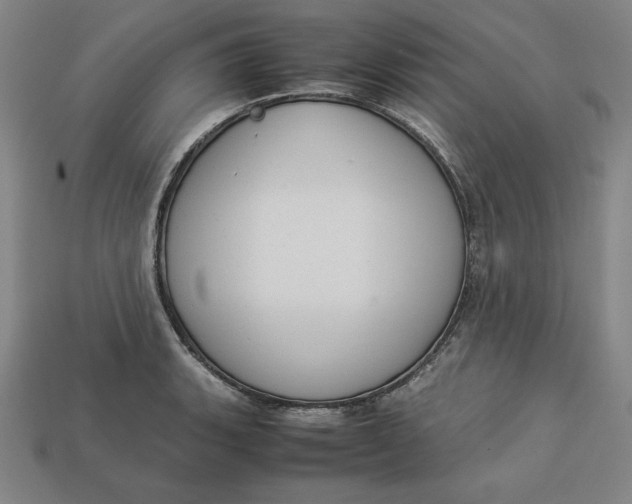 X0000113111135200909181622