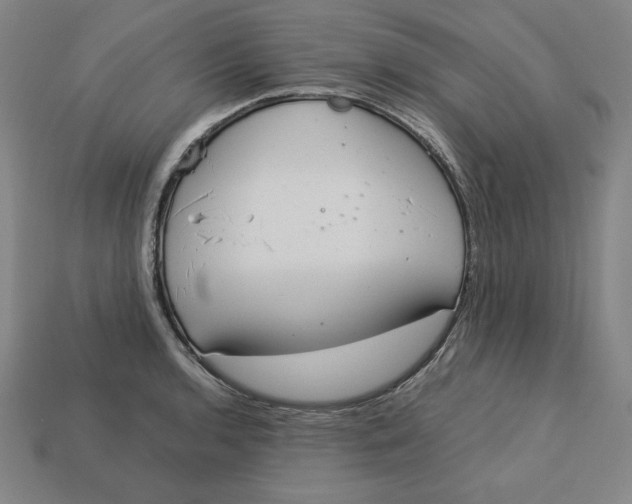 X0000113111136200909181622