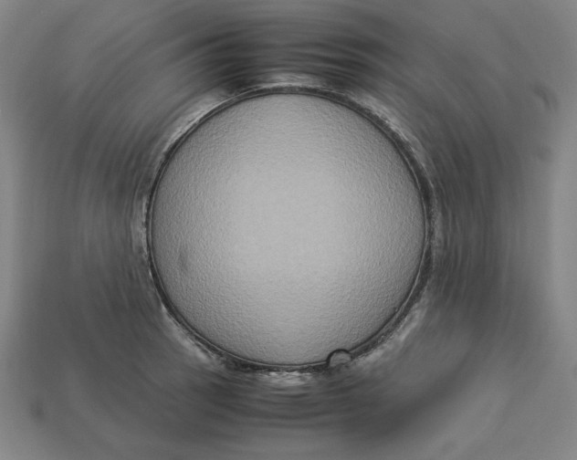 X0000113111137200909181623
