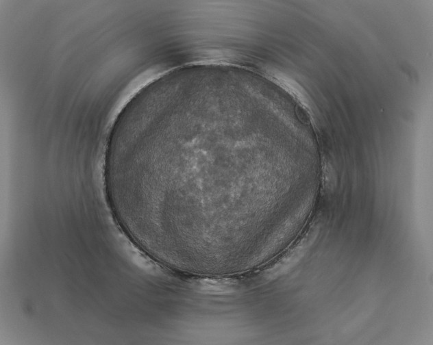 X0000113111138200909181623