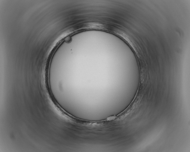 X0000113111139200909181623