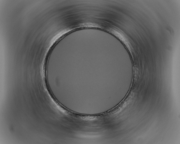 X0000113111141200909181623