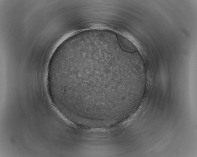 X0000113111142200909181623