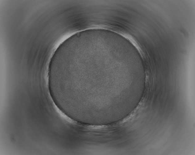 X0000113111143200909181623