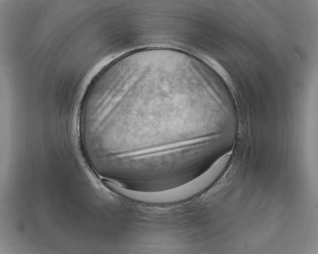 X0000113111144200909181623