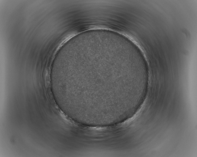 X0000113111145200909181623
