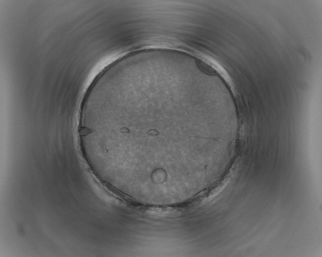 X0000113111146200909181623