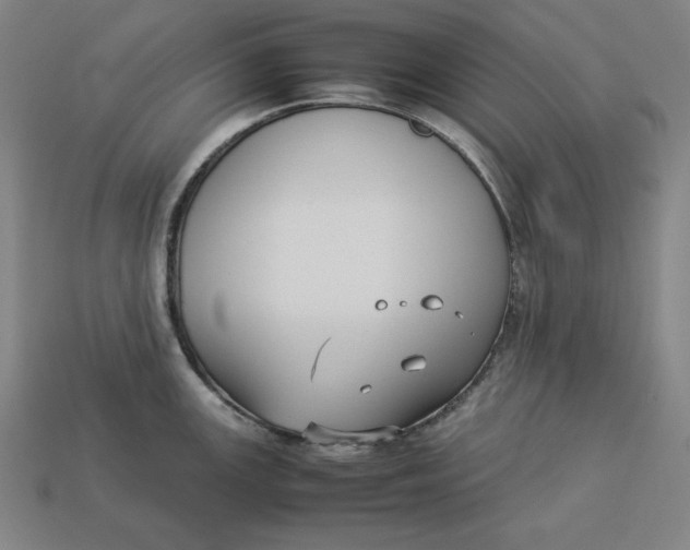 X0000113111147200909181623