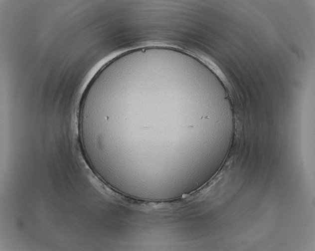 X0000113111148200909181623