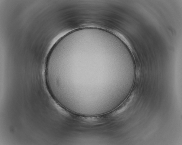 X0000113111149200909181623