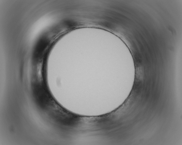 X0000113111150200909181623