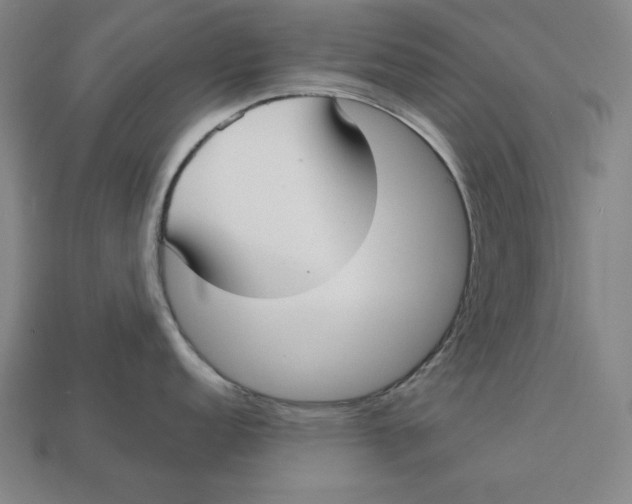 X0000113111152200909181623