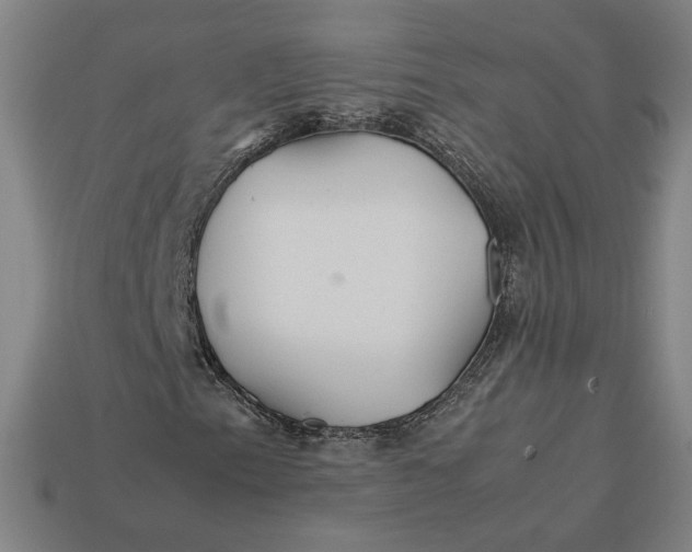X0000113111153200909181622