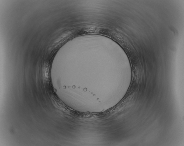 X0000113111154200909181622