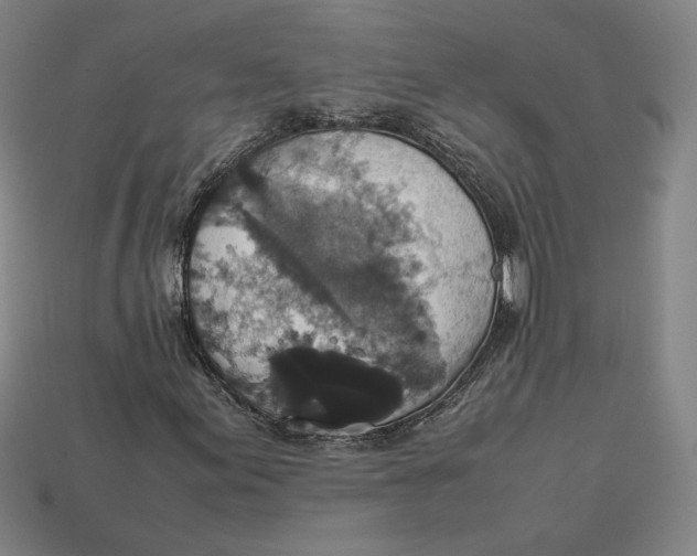 X0000113111155200909181622