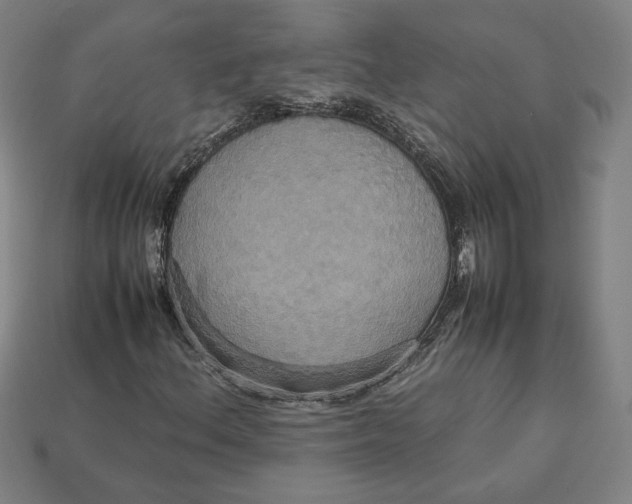 X0000113111156200909181622