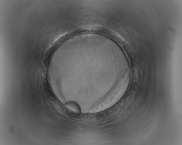 X0000113111158200909181622