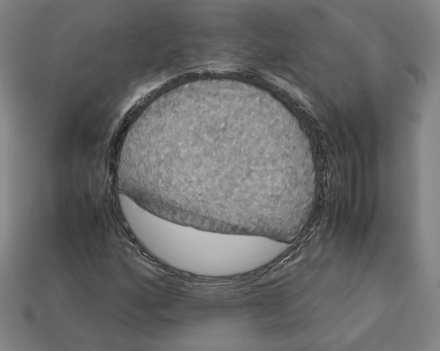 X0000113111160200909181622
