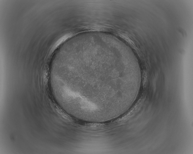 X0000113111163200909181622