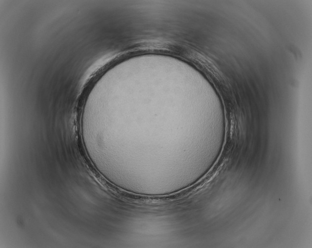 X0000113111164200909181622