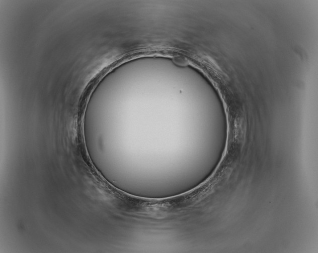 X0000113111165200909181622