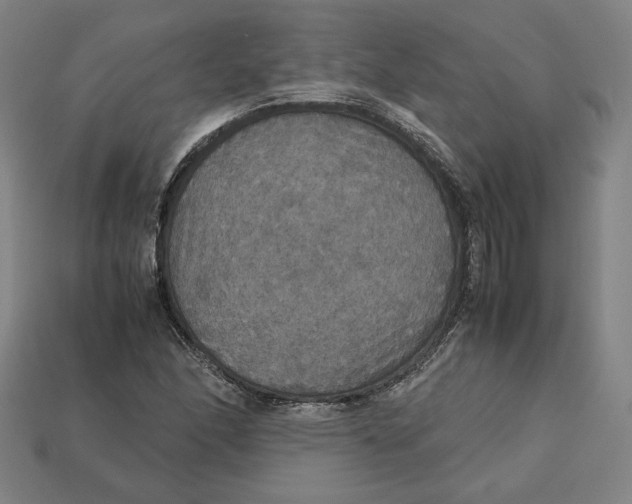 X0000113111166200909181622