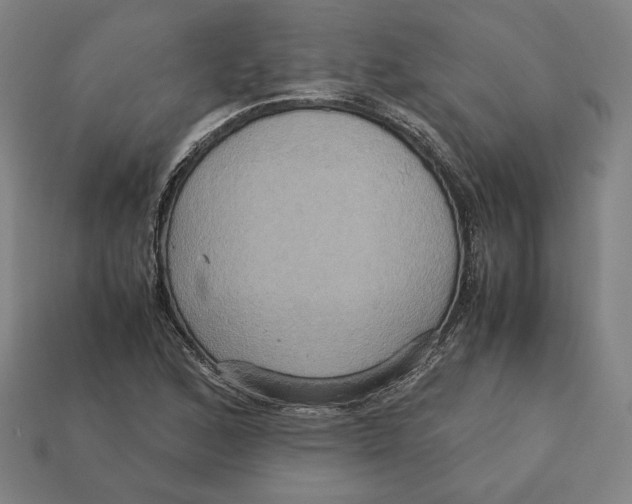 X0000113111168200909181622