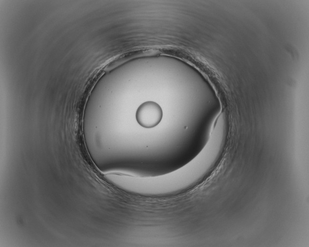 X0000113111169200909181622