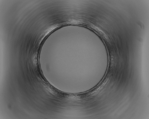 X0000113111170200909181622