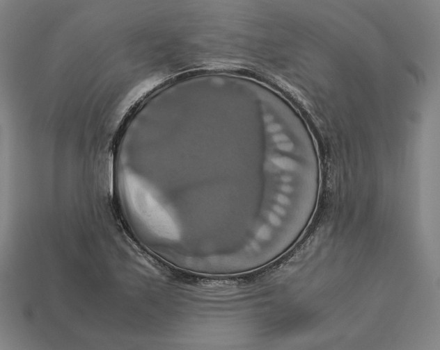 X0000113111171200909181622