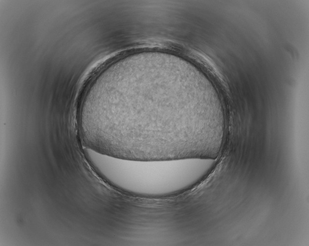 X0000113111172200909181622