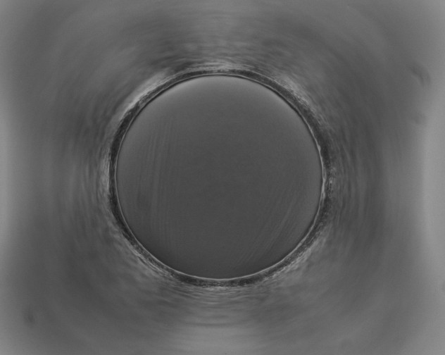 X0000113111173200909181622