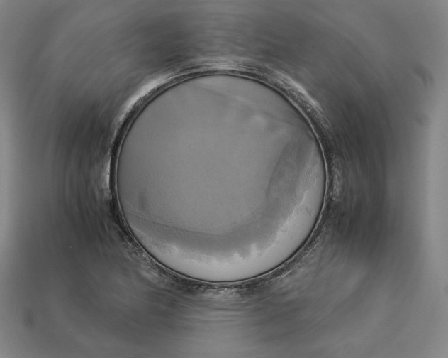 X0000113111174200909181622