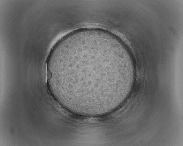 X0000113111175200909181622