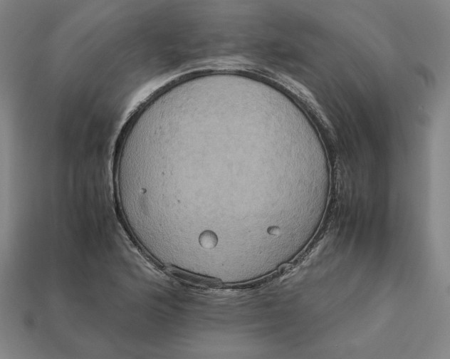 X0000113111176200909181622