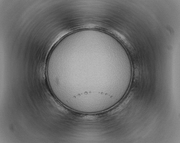 X0000113111178200909181622