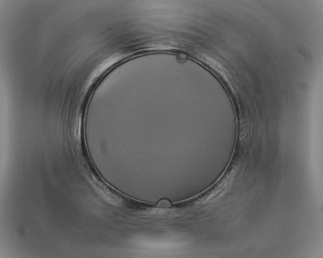 X0000113111179200909181622