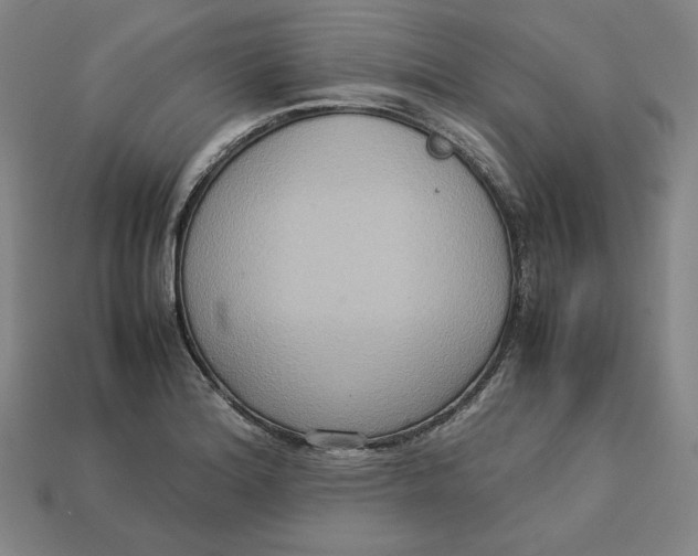 X0000113111180200909181622