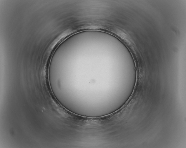 X0000113111181200909181622
