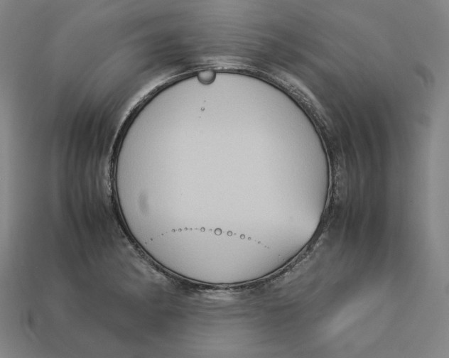 X0000113111182200909181622