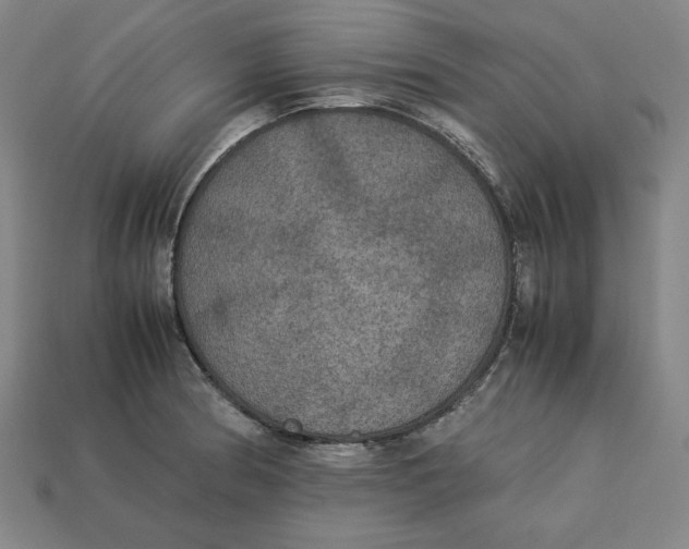 X0000113111186200909181622