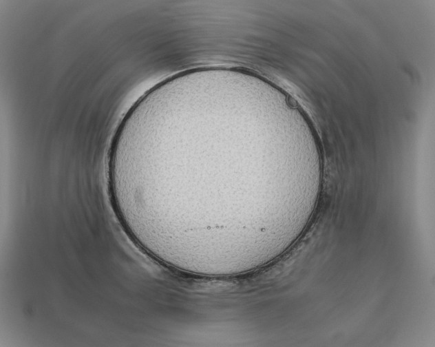 X0000113111187200909181622