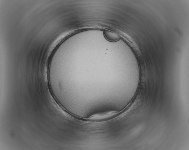 X0000113111188200909181622