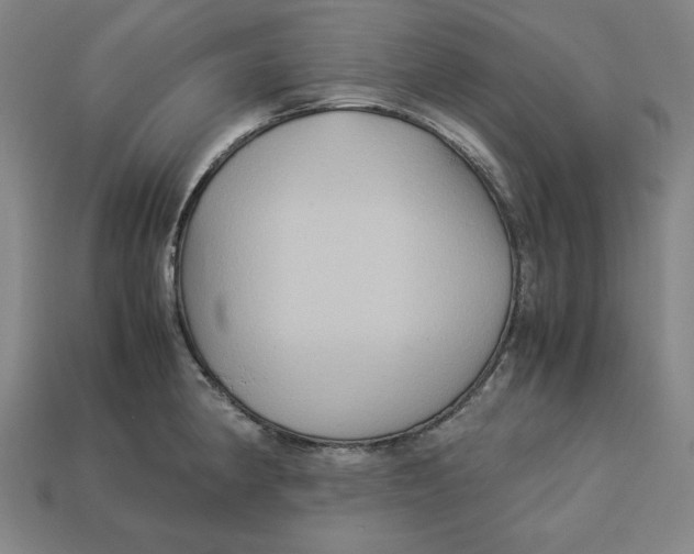 X0000113111190200909181622